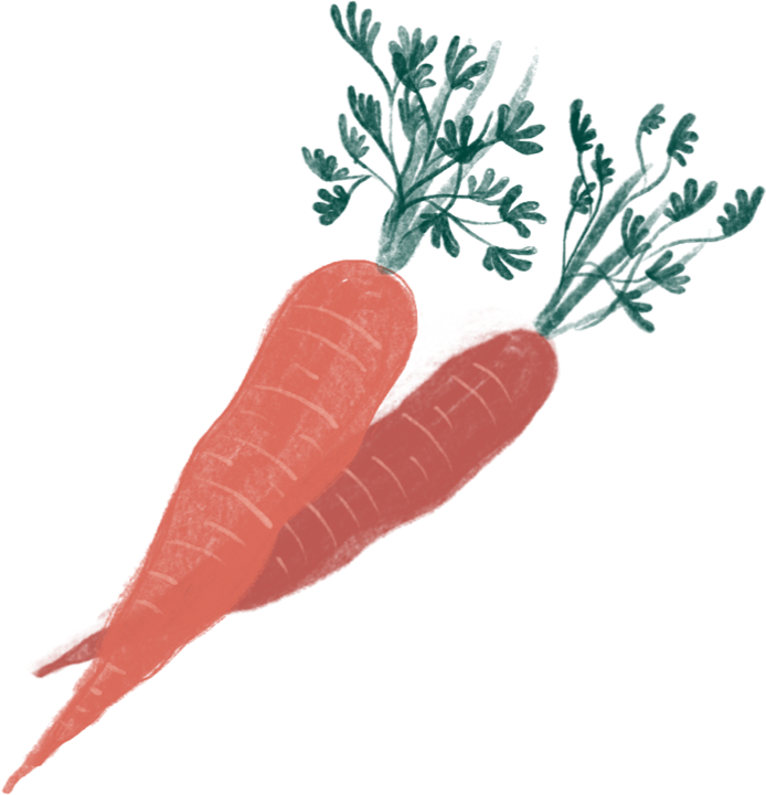 Food Carrot
