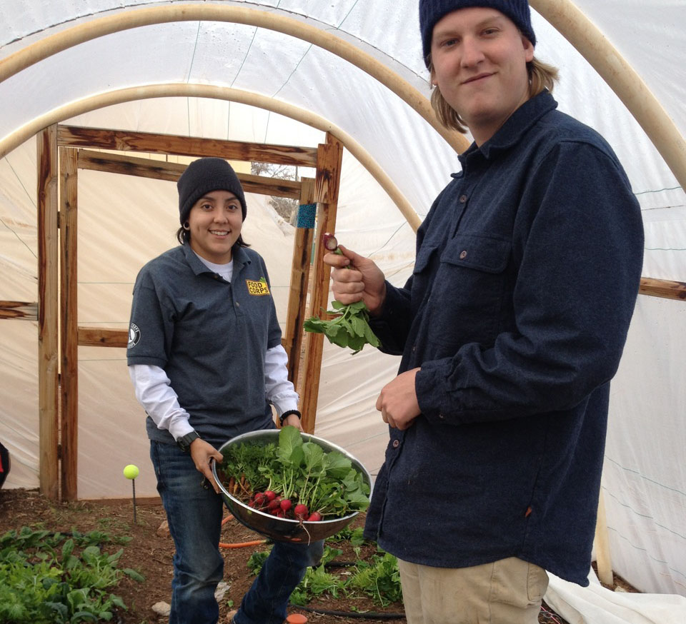 Alicia Tsosie & Will Conway gather radishes out of a high tunnel