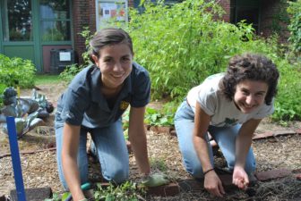 Anna, wearing a FoodCorps polo shirt, hunches over gardening alongside FoodCorps alum Chloe Zelkha, wearing a shirt from The Food Project