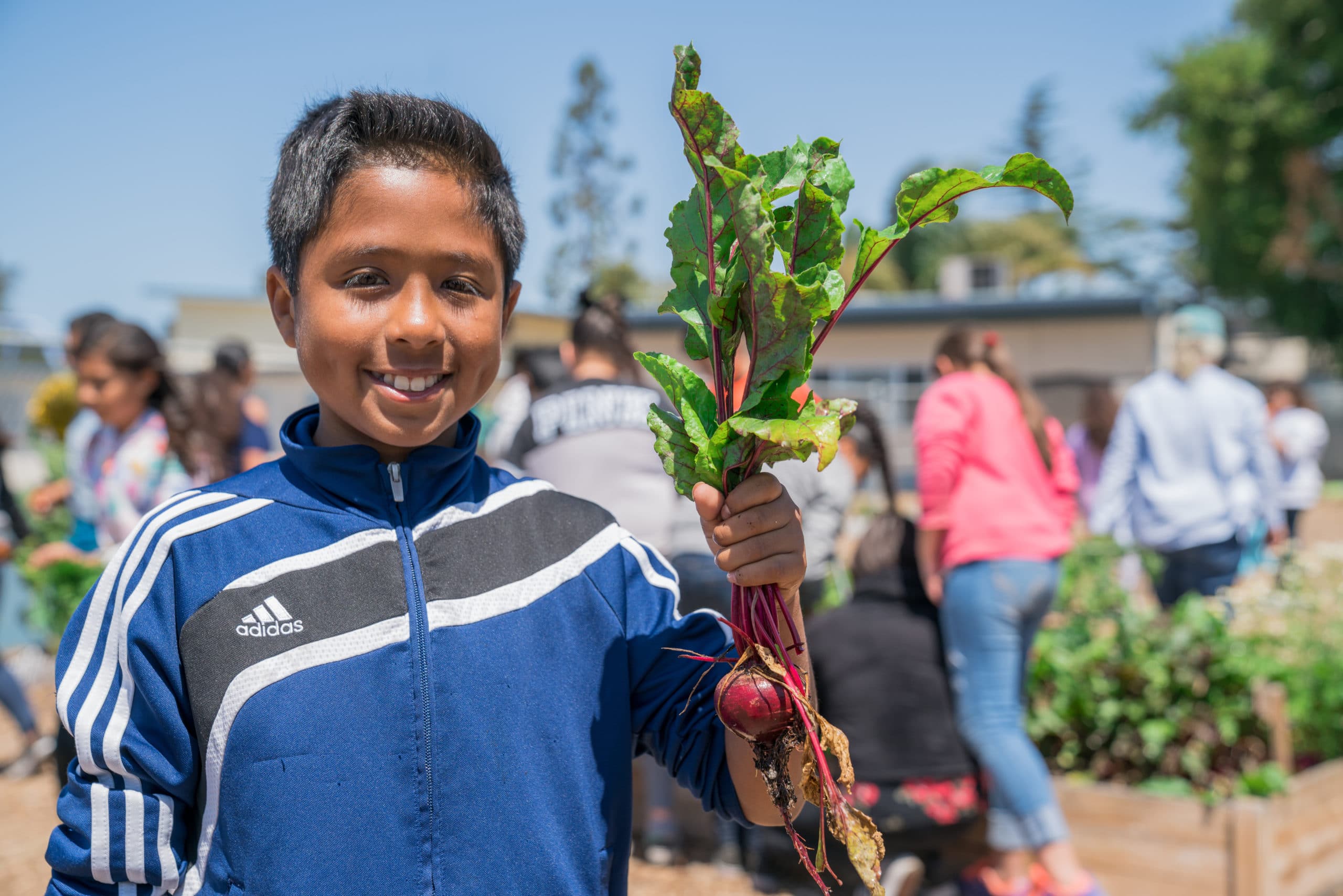 From the Source: School Meals and Student Health