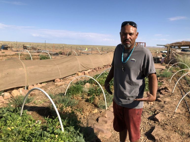Tyrone Thompson examines his garden at his Ch'ishie Farms in Leupp