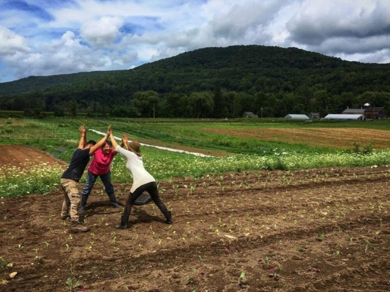 Rock Steady Farm