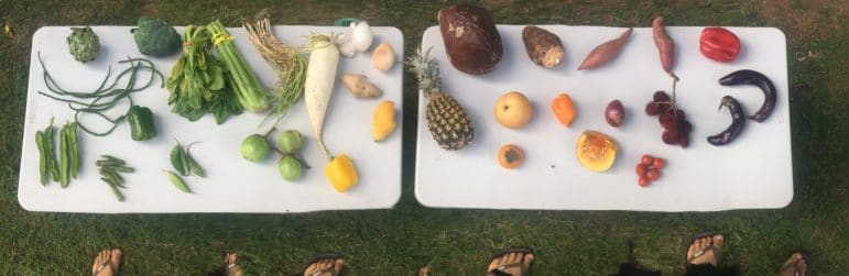An array of fruits and vegetables laid out on two white tables