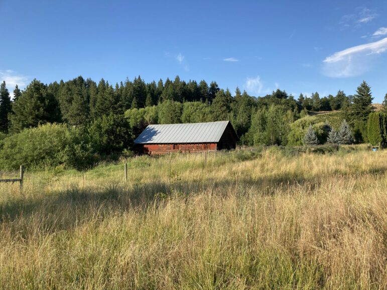  Kasama Farm’s aging red barn with field in foreground.