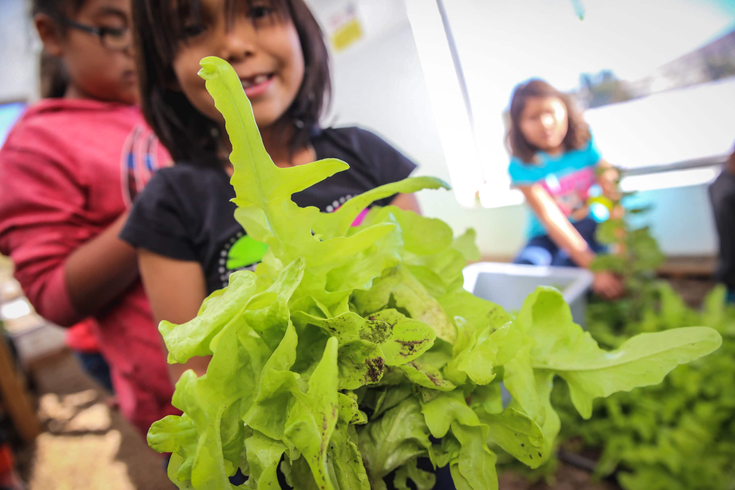 What’s Going on With Food Policy?