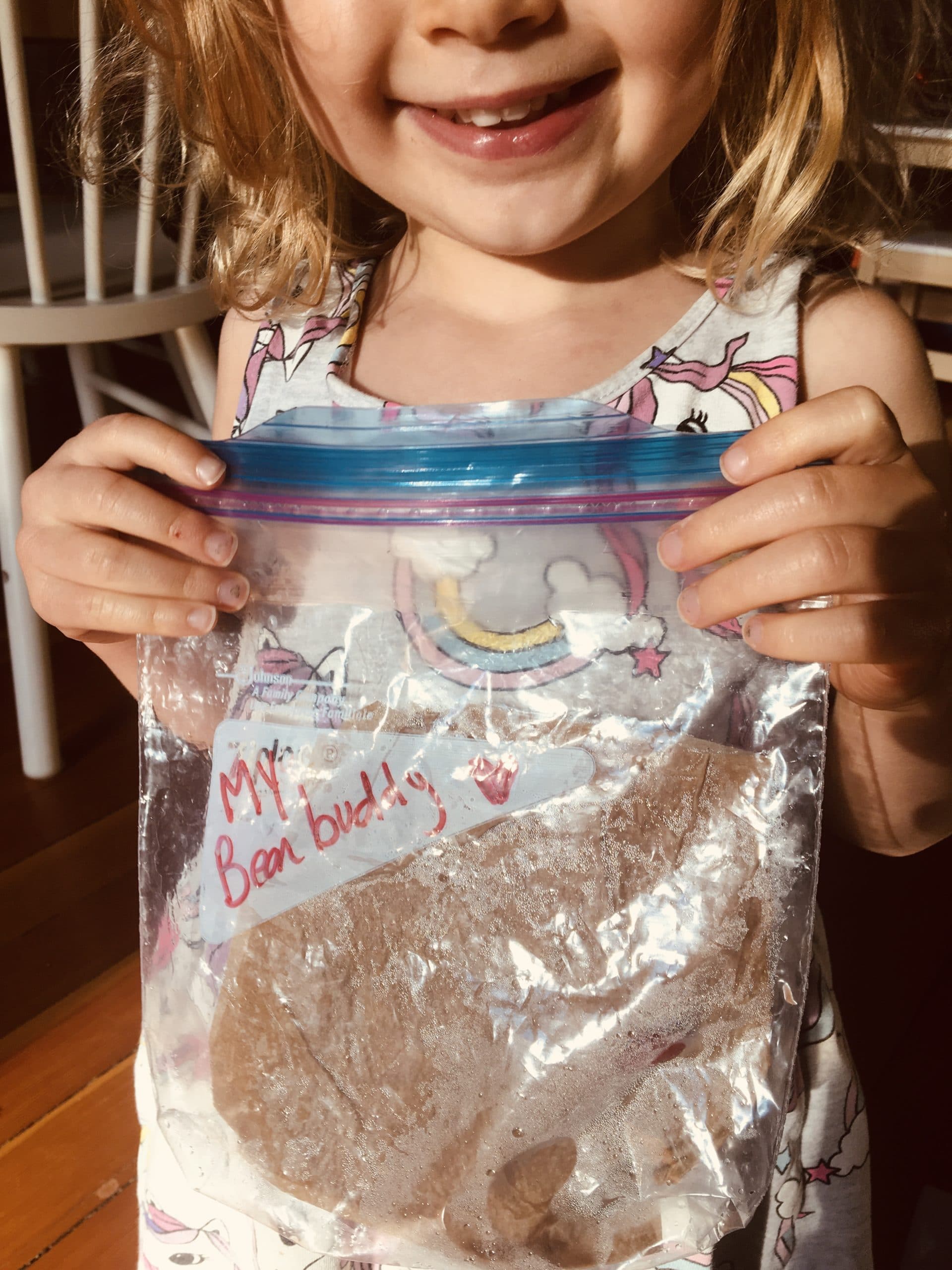 Bean-Buddies-Lesson-scaled