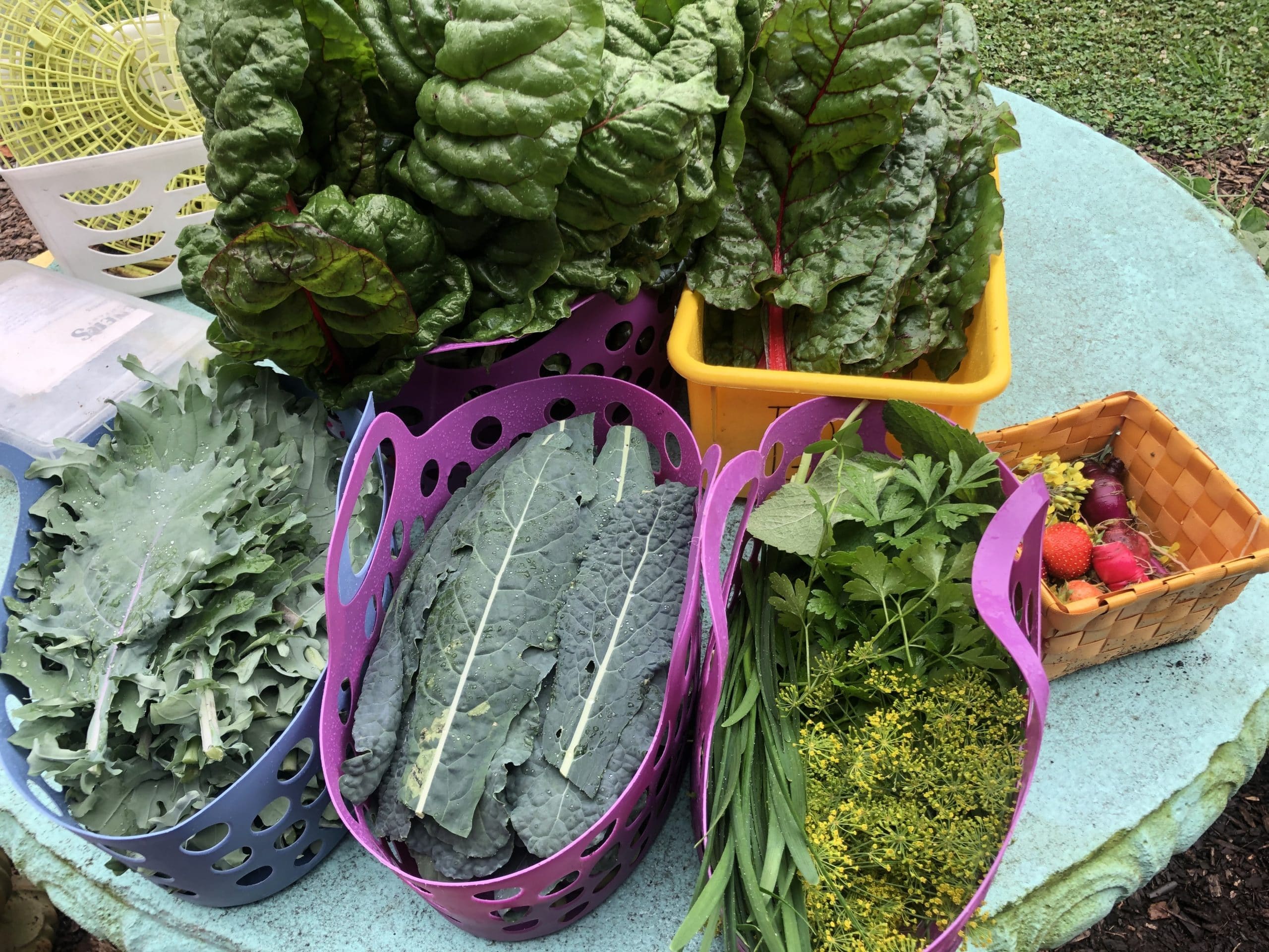 FoodCorps and C&S Wholesale Grocers Honor Hunger Action Month