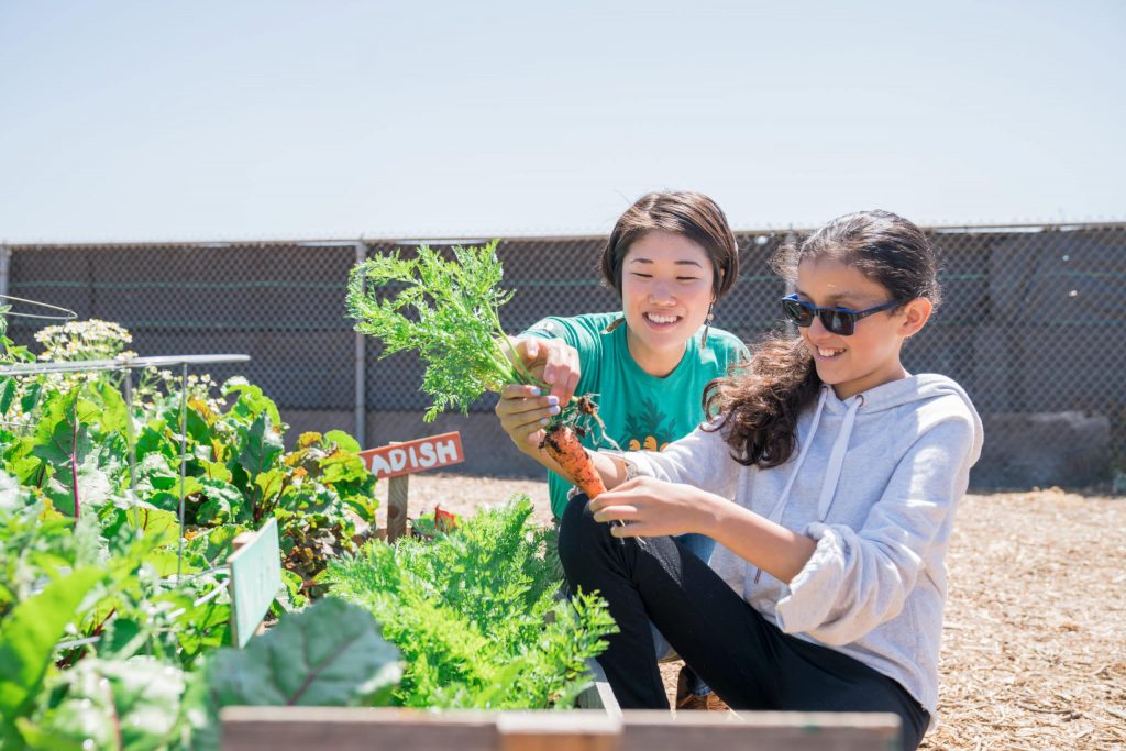 In an Agricultural Community, a School Garden Connects Kids to Healthy Food
