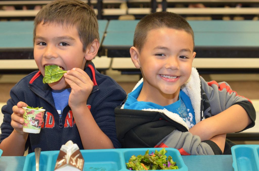Meet reWorking Lunch, A Cross-Sector Initiative For Healthy School Meals