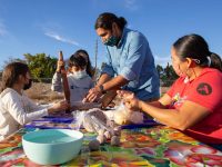 Sharing Indigenous Cooking Traditions in New Mexico