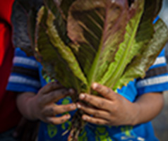 Jones Valley Teaching Farm