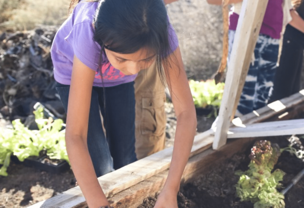This School-Run Garden is Helping Nourish an Arizona Community