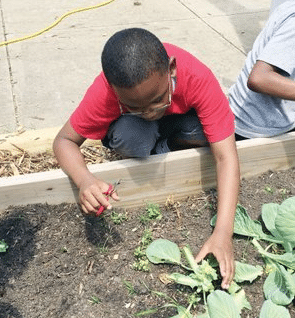 FoodCorps school receives grant to expand garden