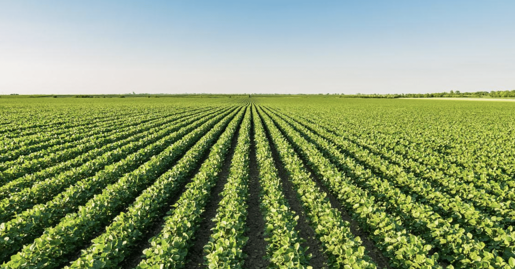 Making farm-to-school accessible for all