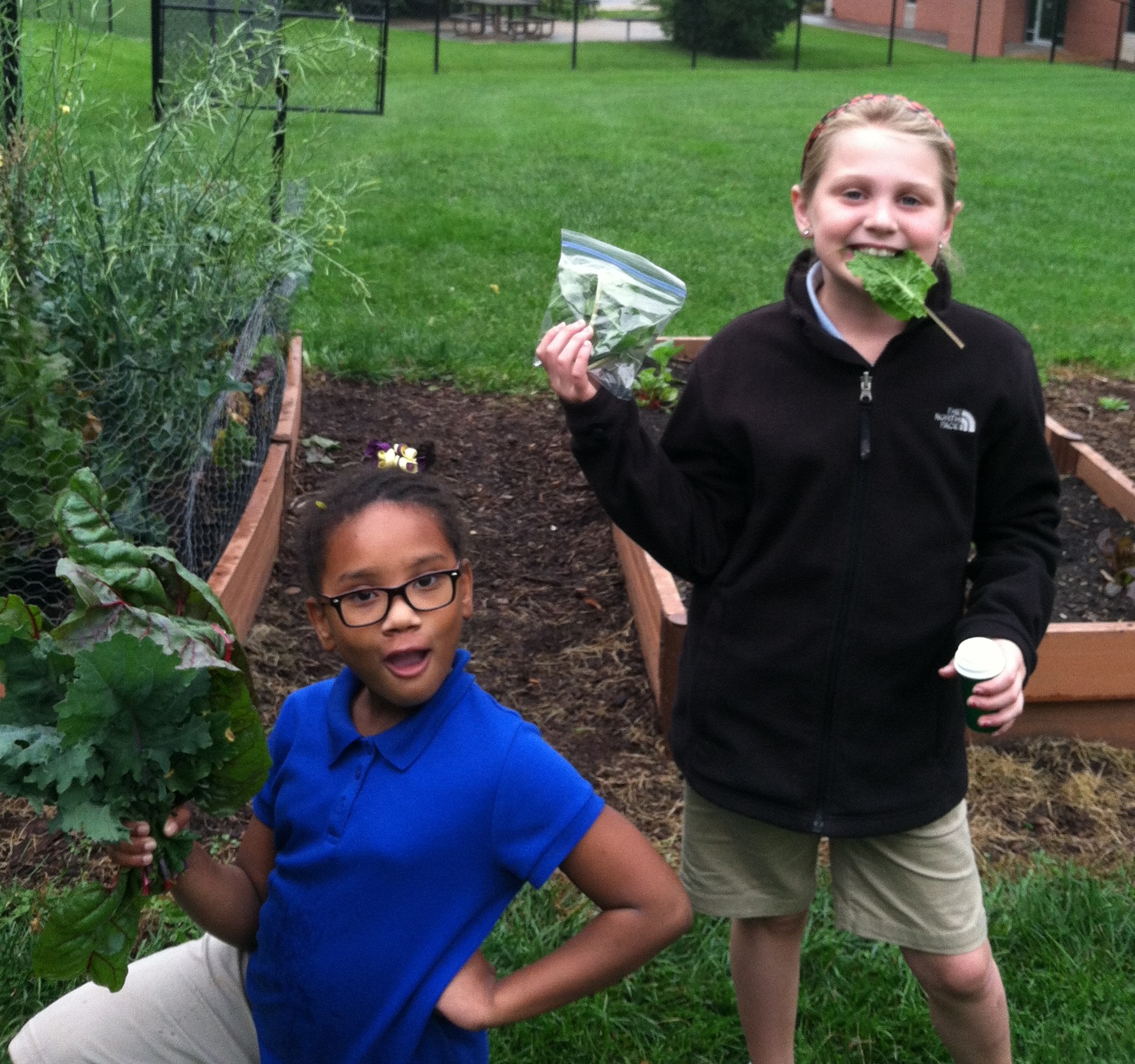 Real Food and Real Skills to Combat Hunger