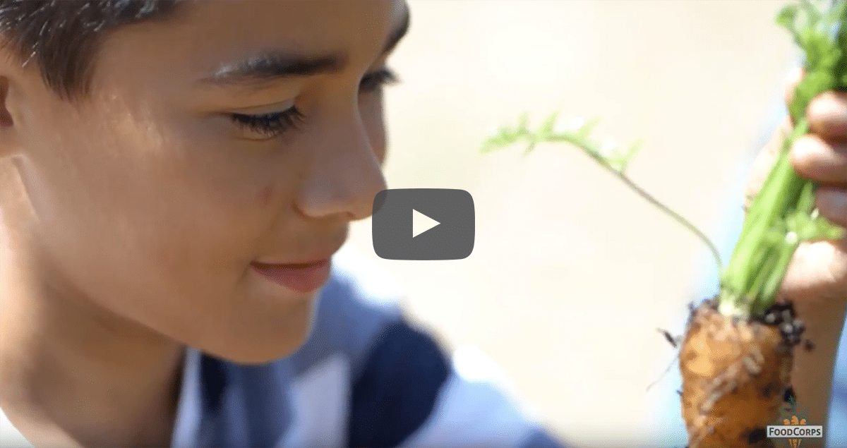 Video: An Inside Look at Service in Schools