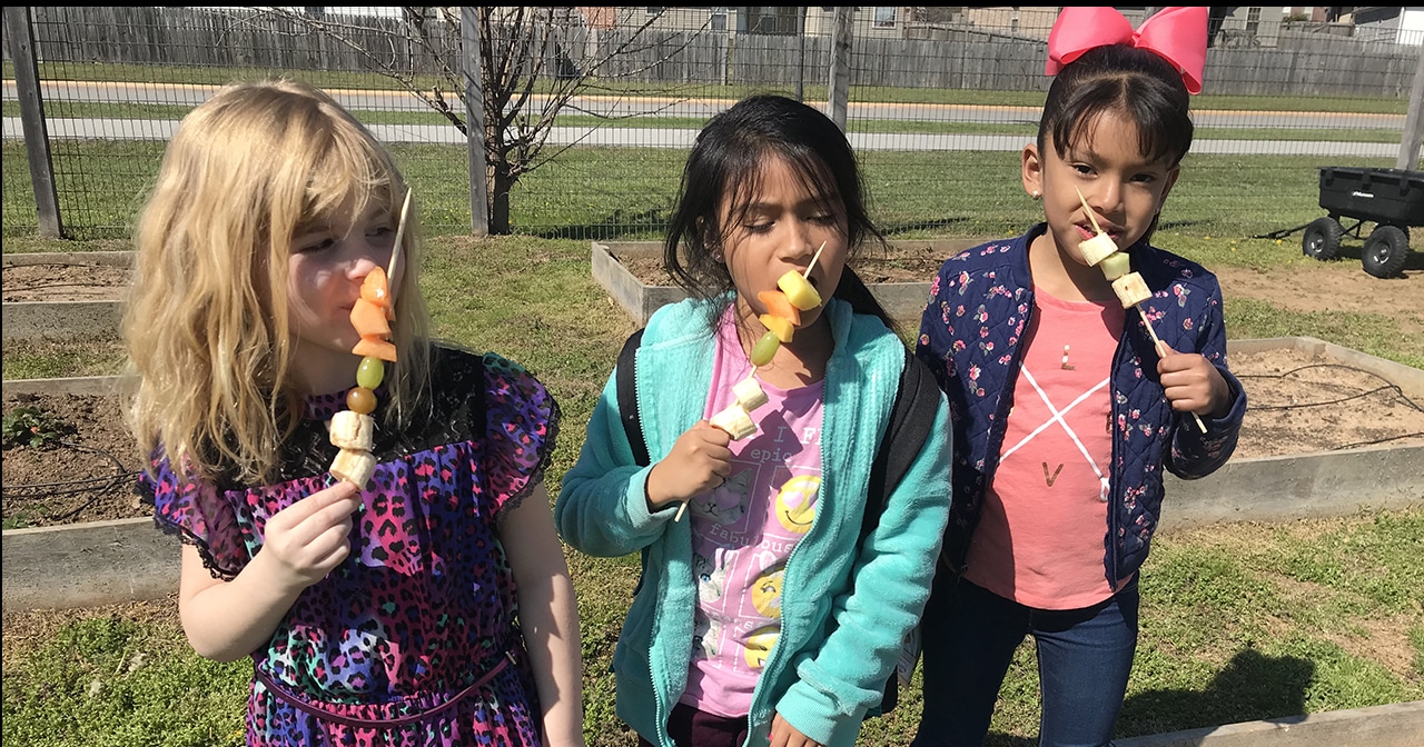 For Healthy Kids, Support School Nutrition