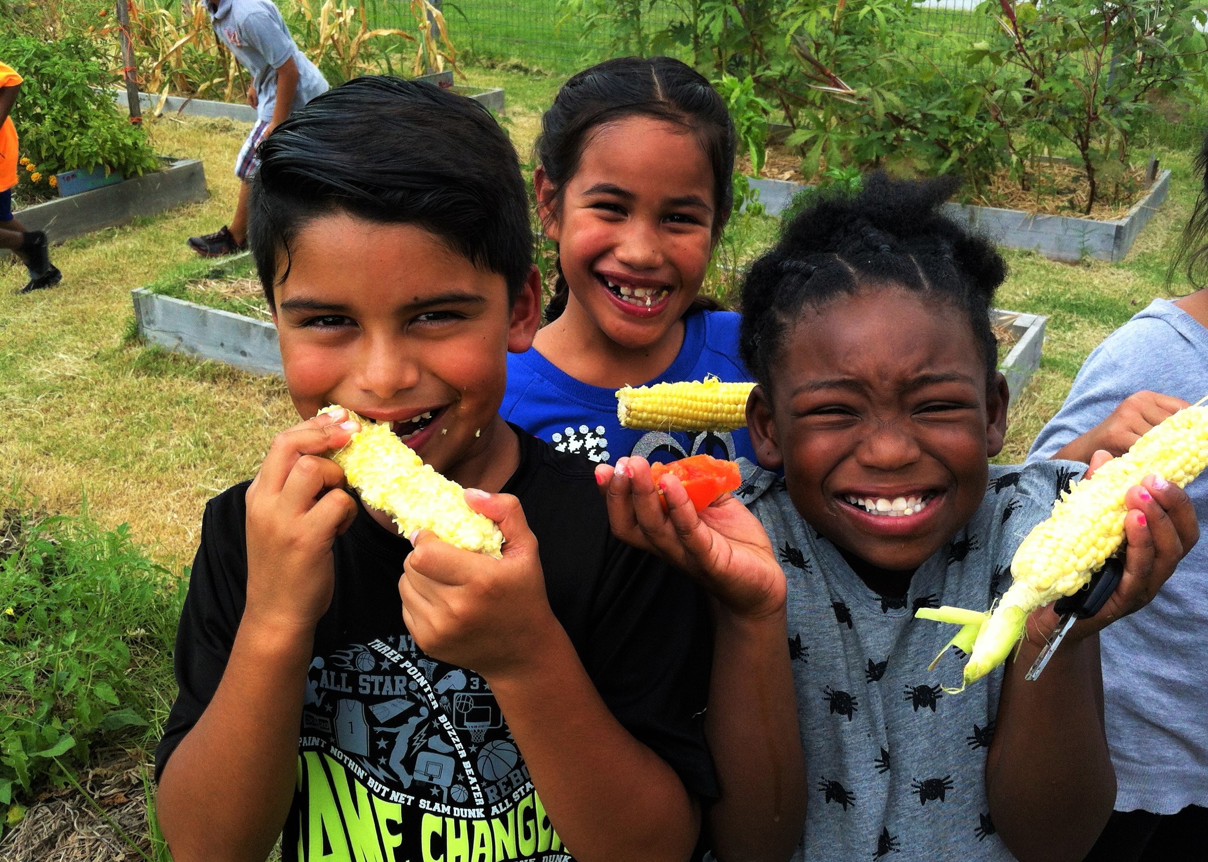 Fast Company: 7 Lessons In Persuasion From People Who Get Kids To Eat Veggies