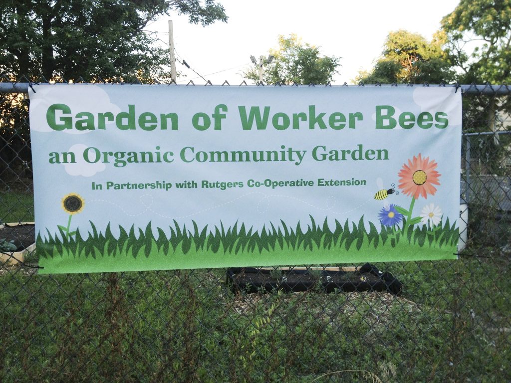 Amarilys Olivo is building a community of worker bees
