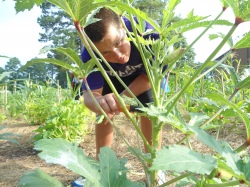 Grist: What happens to school gardens in the summer?