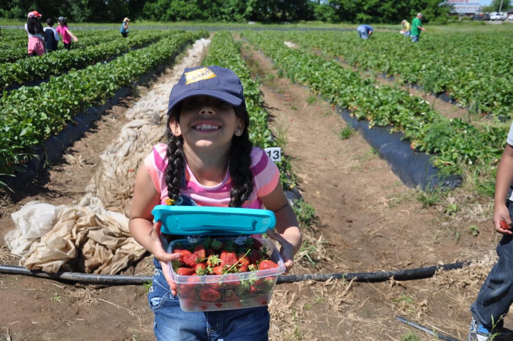 Policy Brief: House Farm Bill Fails, National Service Funding in Jeopardy