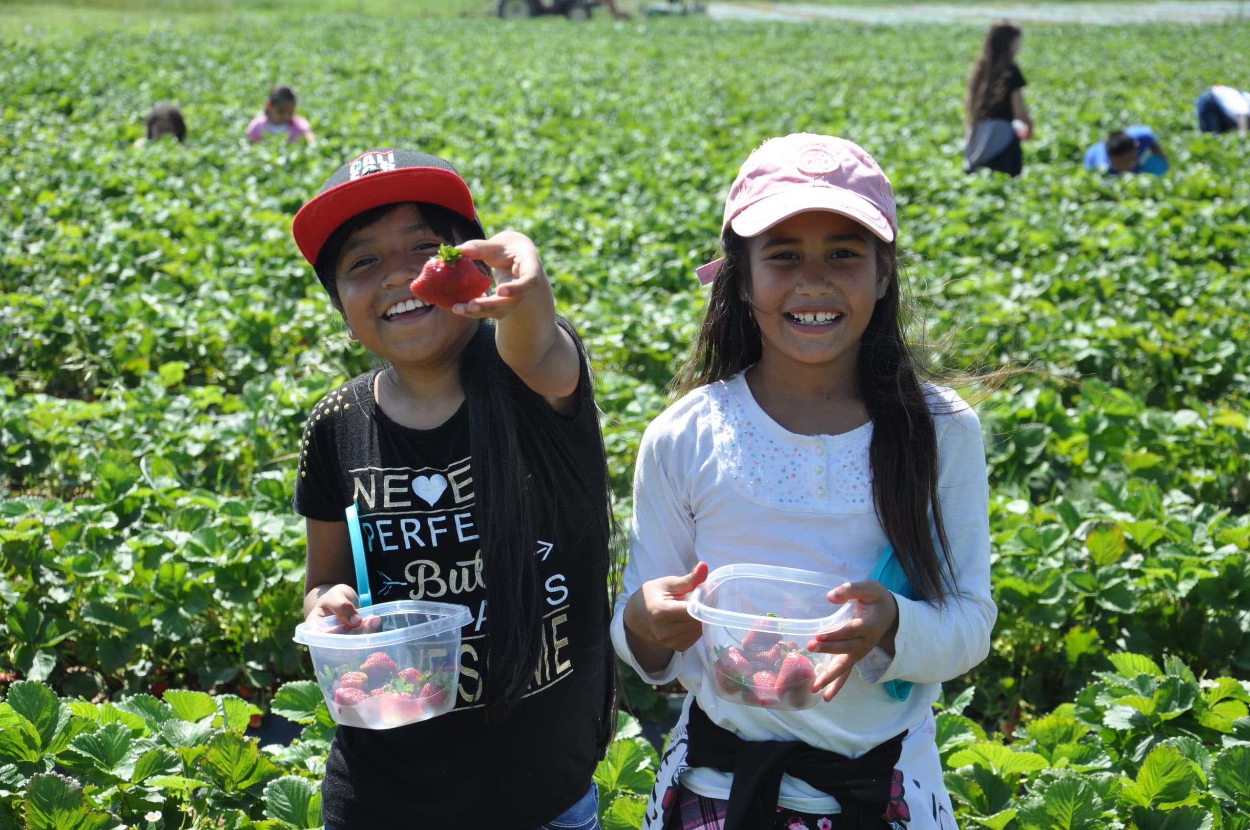 Policy Brief: Take Action to Protect the Local FARMS Act