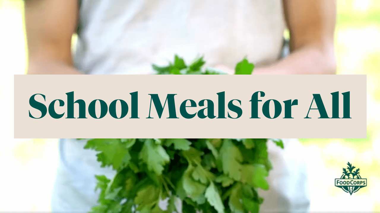 School Meals for All