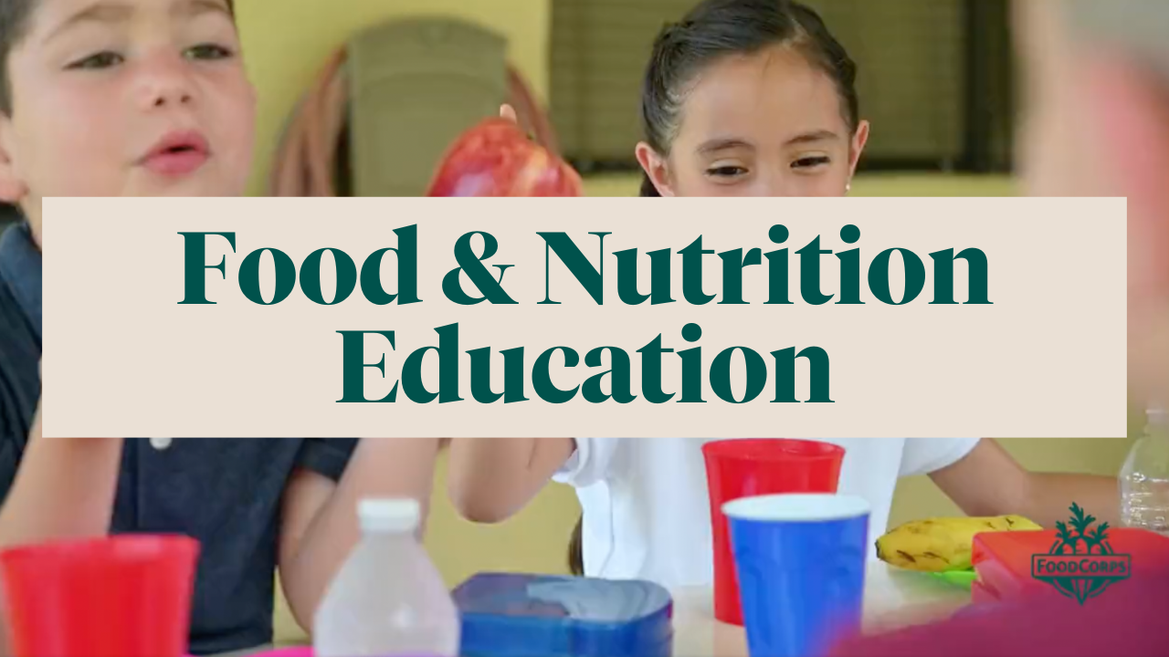 Food and Nutrition Education
