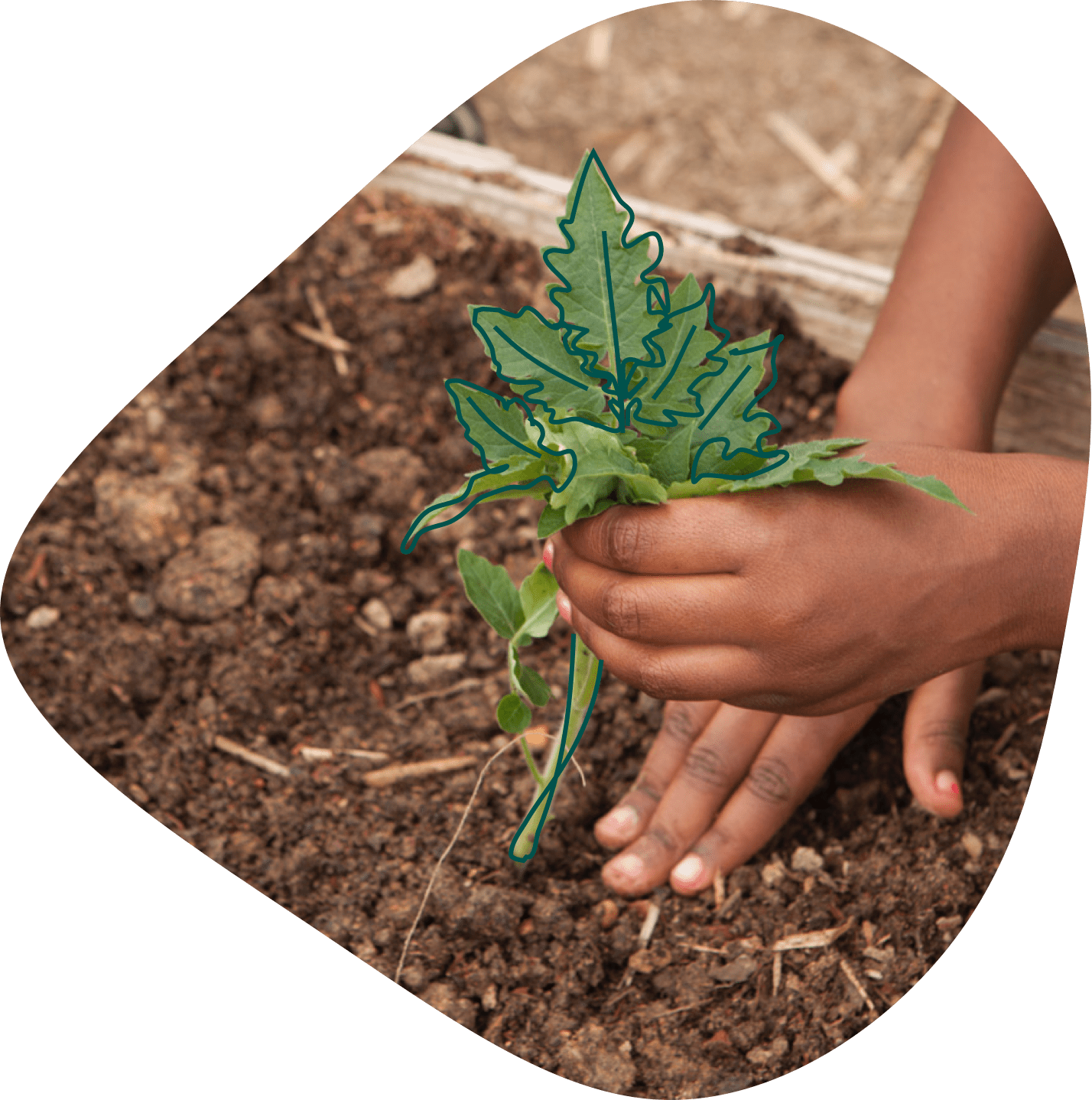 White House Conference on Hunger, Nutrition, and Health