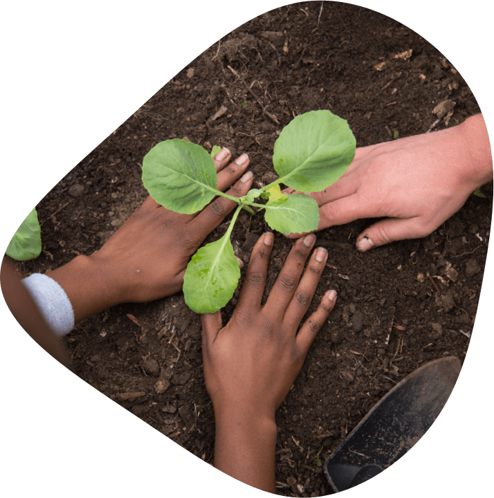 Diversity in School Nutrition Leadership