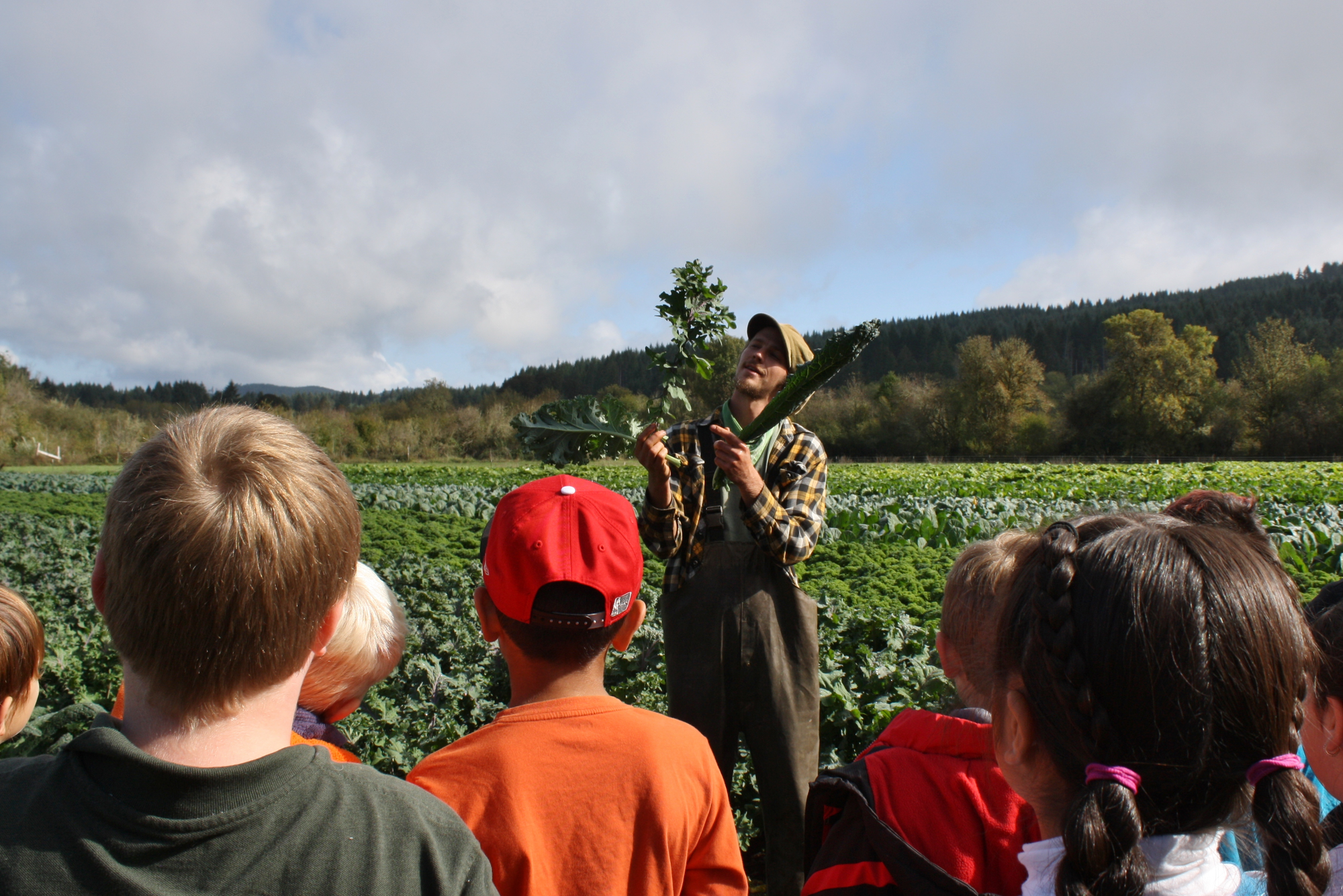 A farmer wearing a plaid shirt, overalls, and a hat stands in front of a field of crops and holds up three different varieties of kale. Children are facing the farmer with their backs turned to the camera.