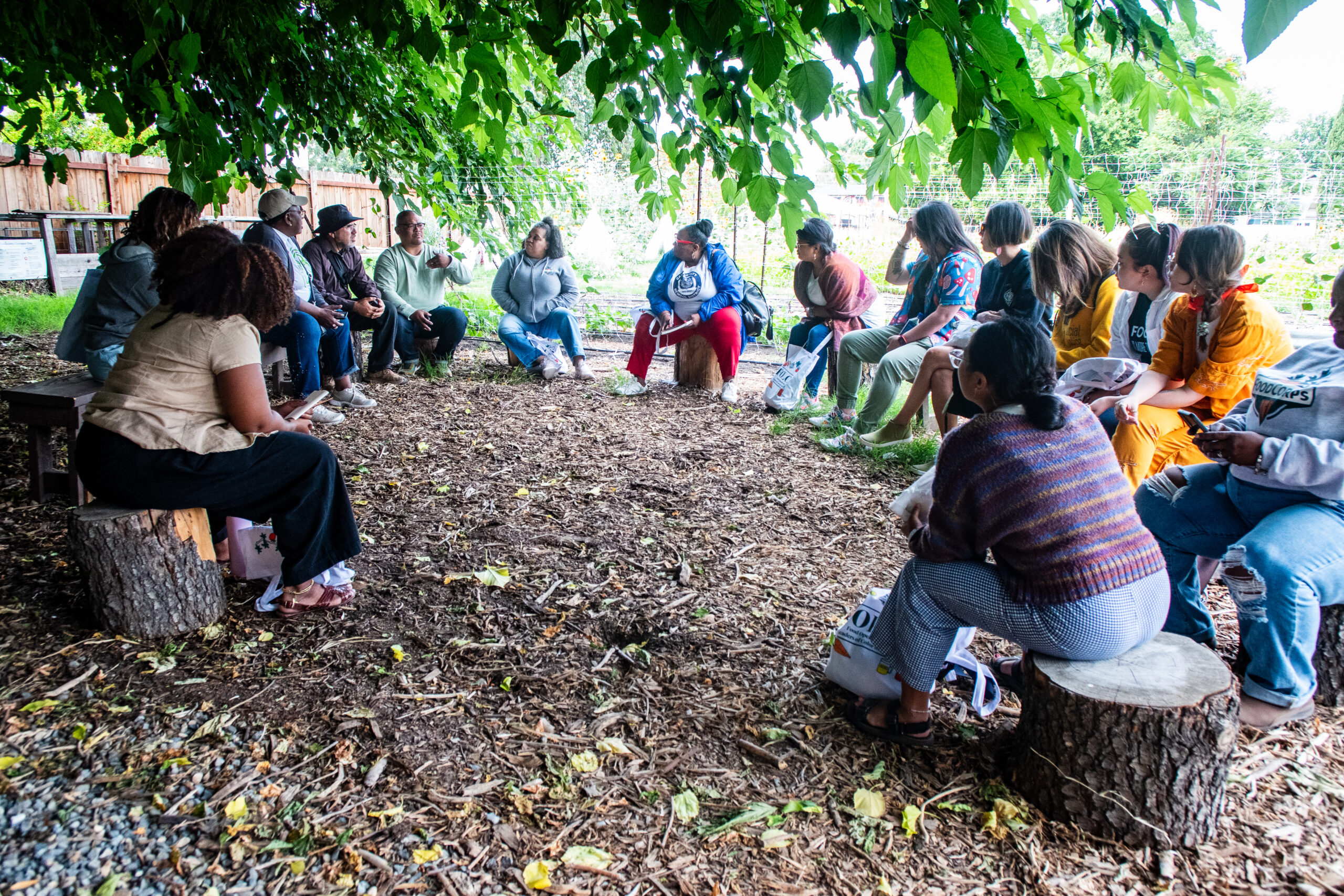 Participants at the FOLCS Kindred Gathering sit on stumps in a circle, looking at each other in focused discussion.