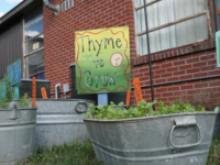 What Makes a Great School Garden?