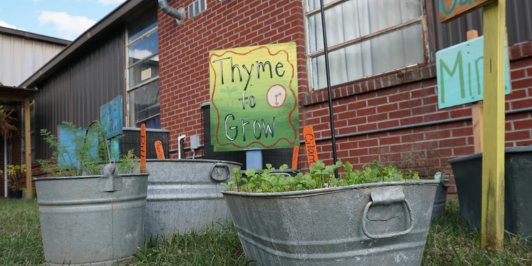 Three metal basins in a school garden stand in the grass, with various herbs growing out from their tops and orange popsicle sticks labeling the types of plants in each basin. Centered with them is a hand-painted green and yellow sign that reads “Thyme to Grow,” and there is a brick building behind them.