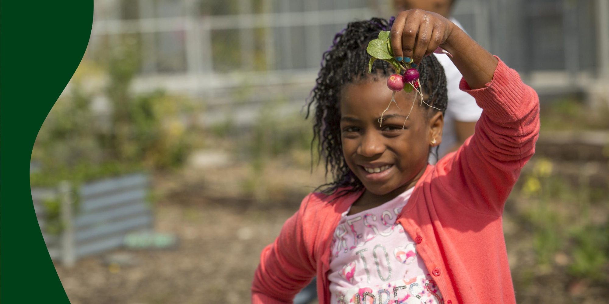 An elementary schooler wearing a pink shirt and cardigan holds up a radish during a lesson on local food in the garden.