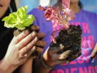 3 Ways Food in School Helps the Environment