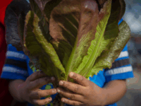 Honoring Juneteenth Through Food, Joy, and Reflection