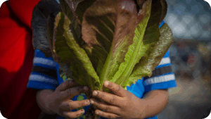 Honoring Juneteenth Through Food, Joy, and Reflection