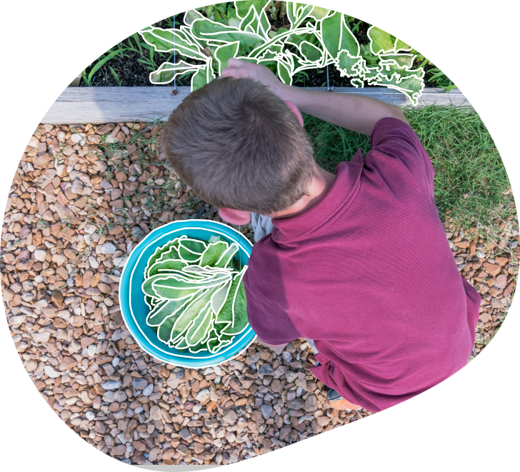 School Programs Approach